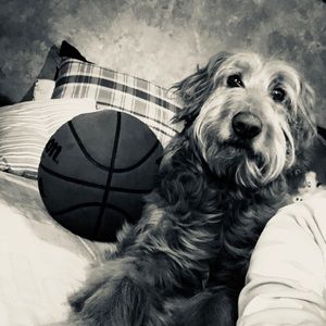 Meet your Posher, Maci